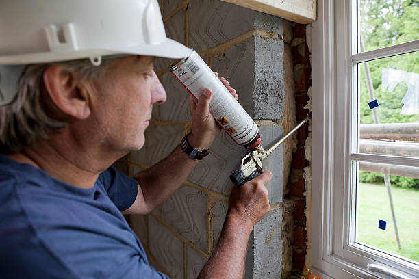 Best Insulation Maintenance and Repair in USA